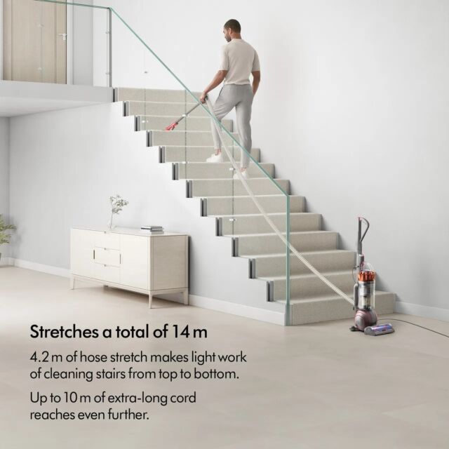 Dyson MULTIFLOOR_UP34_CPS Ball Animal Multi-Floor Upright Vacuum Cleaner